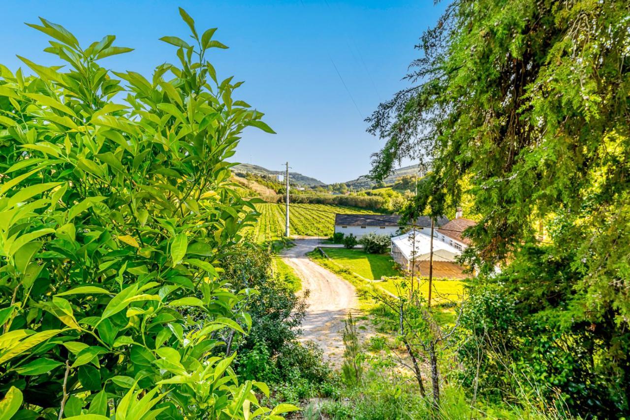 Villa Quinta Do Boicao Lissabon Exterior foto