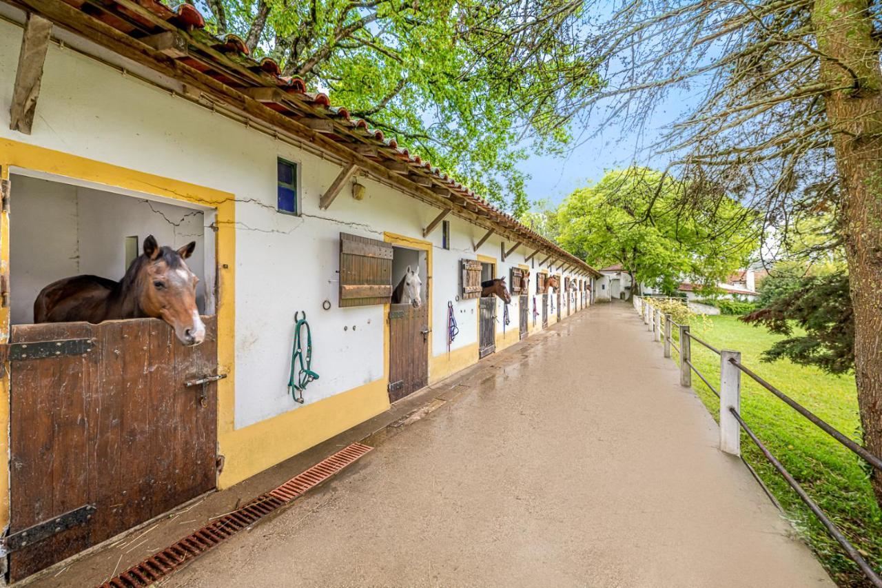 Villa Quinta Do Boicao Lissabon Exterior foto