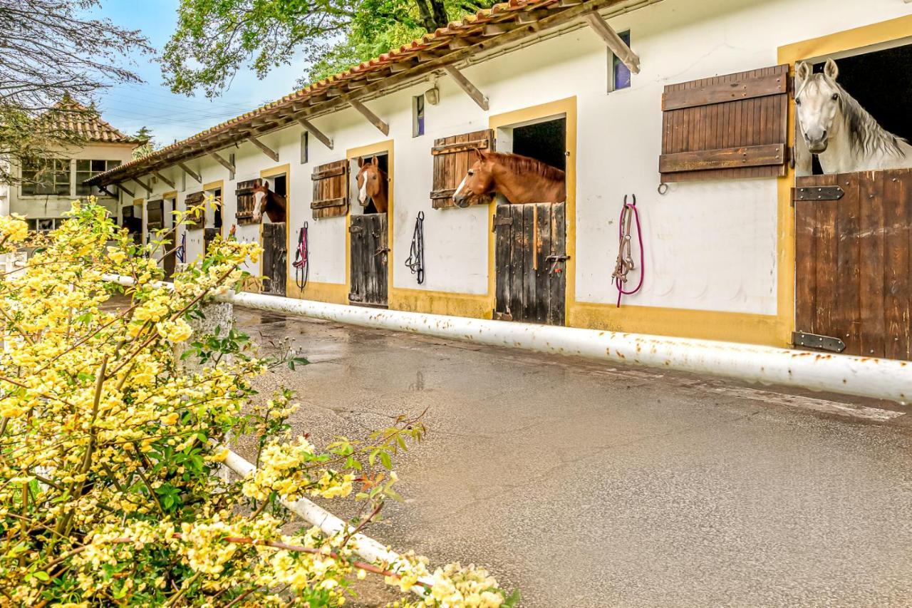 Villa Quinta Do Boicao Lissabon Exterior foto
